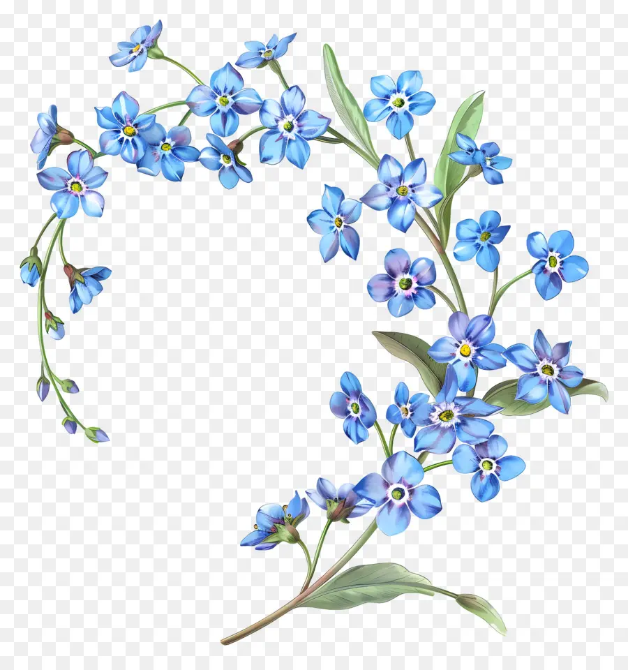 Petite Fleur，Fleurs Bleues PNG