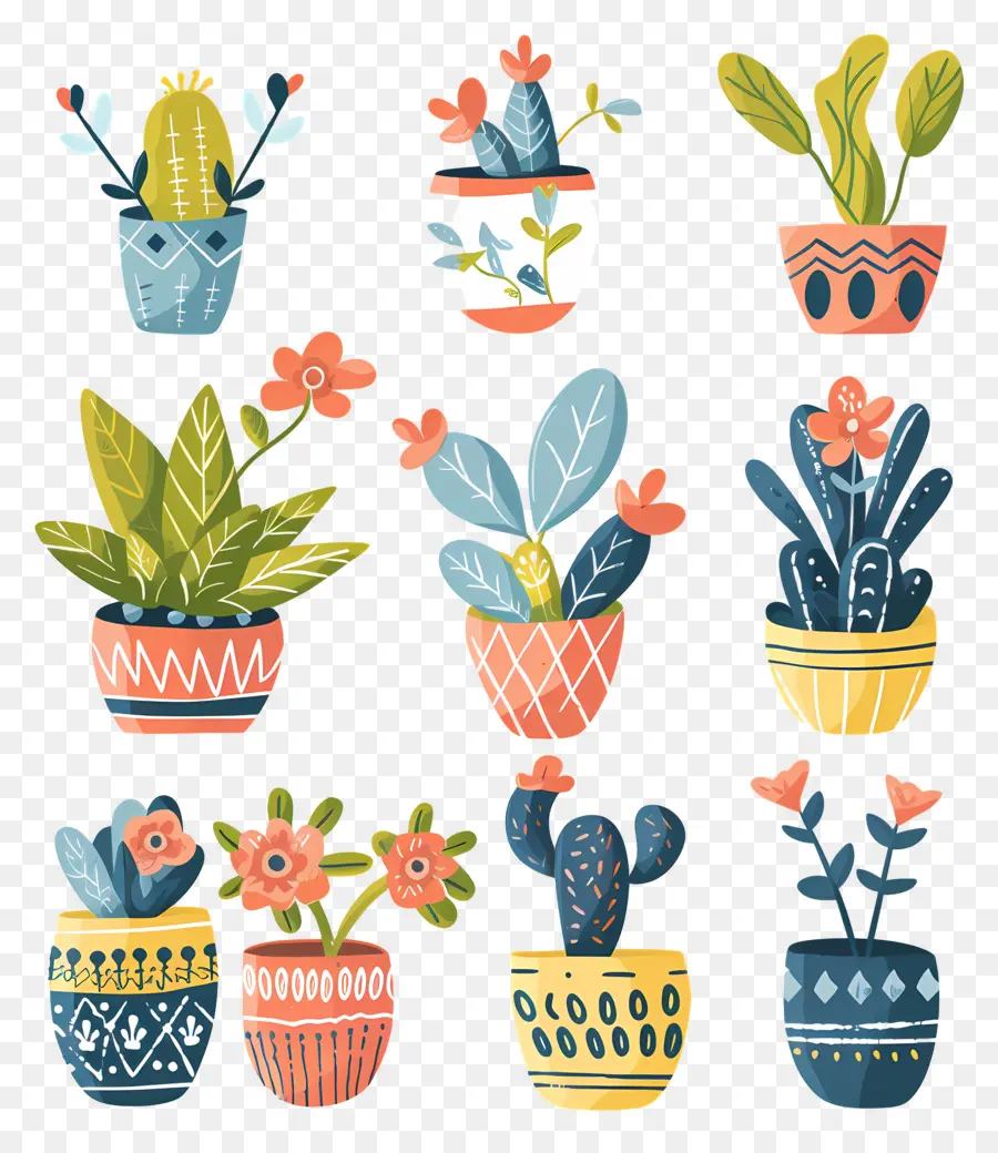 Fleurs En Pots，Plantes En Pot Colorées PNG