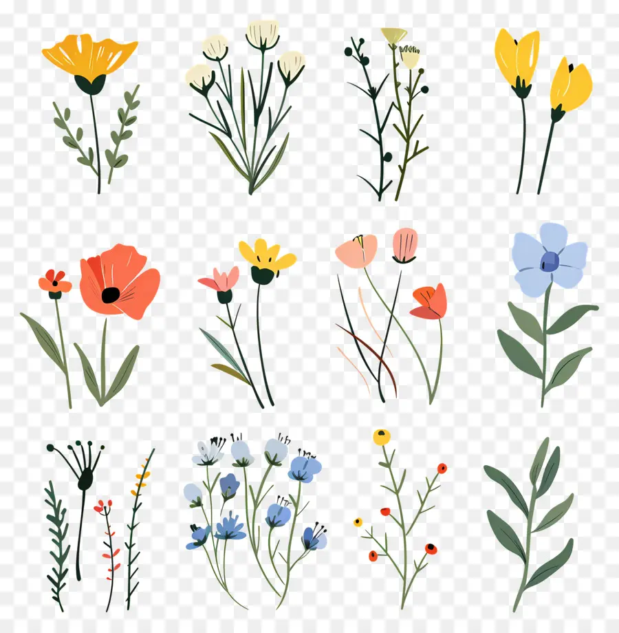 Fleur Sauvage，Fleurs Aquarelles PNG