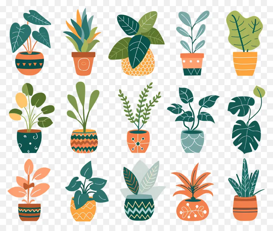 Fleurs En Pots，Plantes En Pot à Motifs PNG