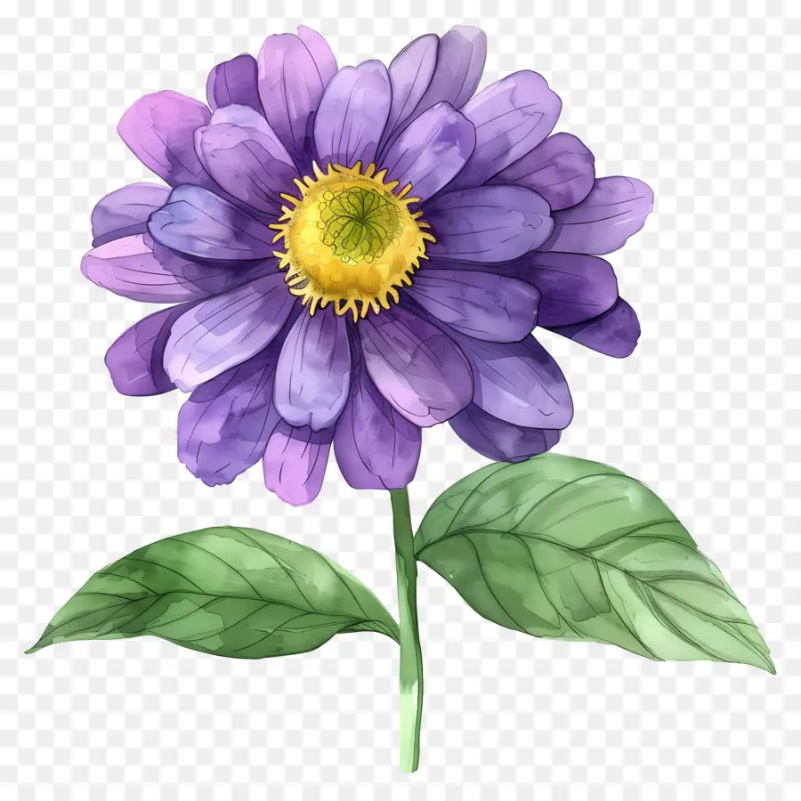 Fleur De Dahlia，Fleur Violette PNG