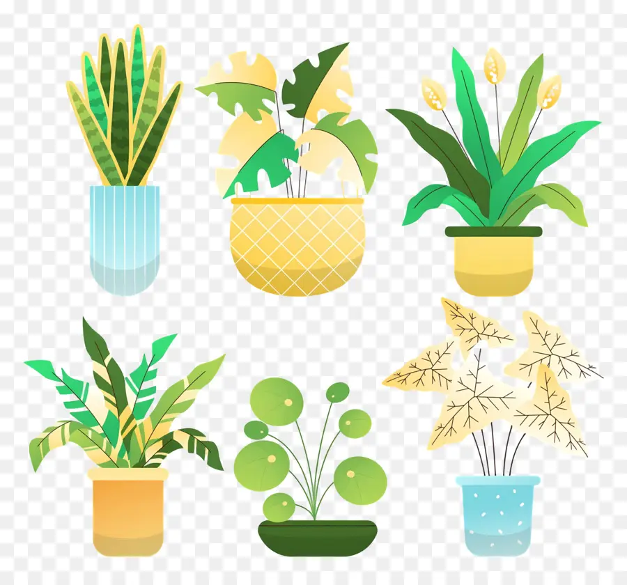 Fleurs En Pots，Plantes En Pot Jaunes PNG