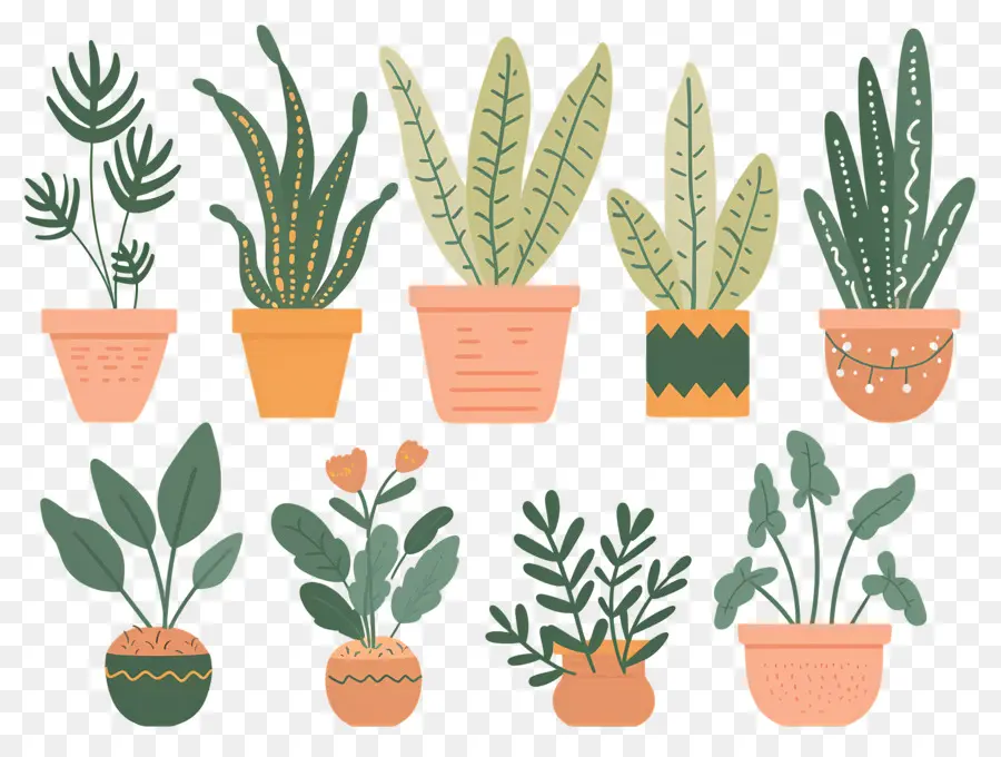 Fleurs En Pots，Plantes En Pot à Motifs PNG