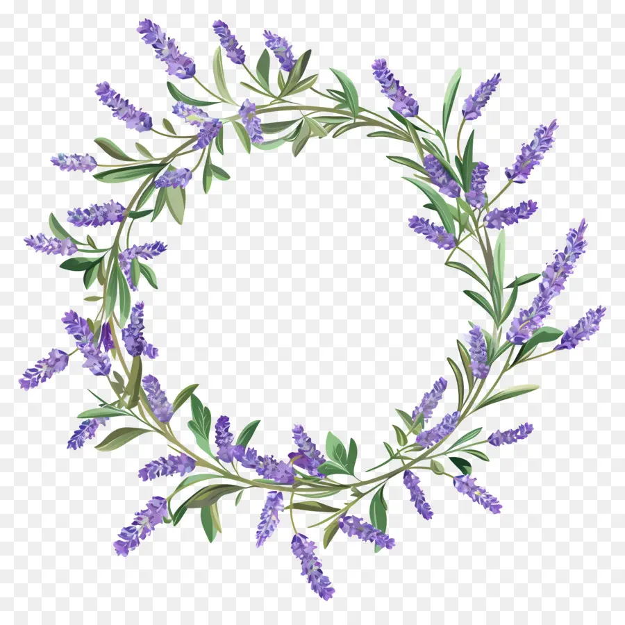 Couronne De Lavande，Feuilles PNG