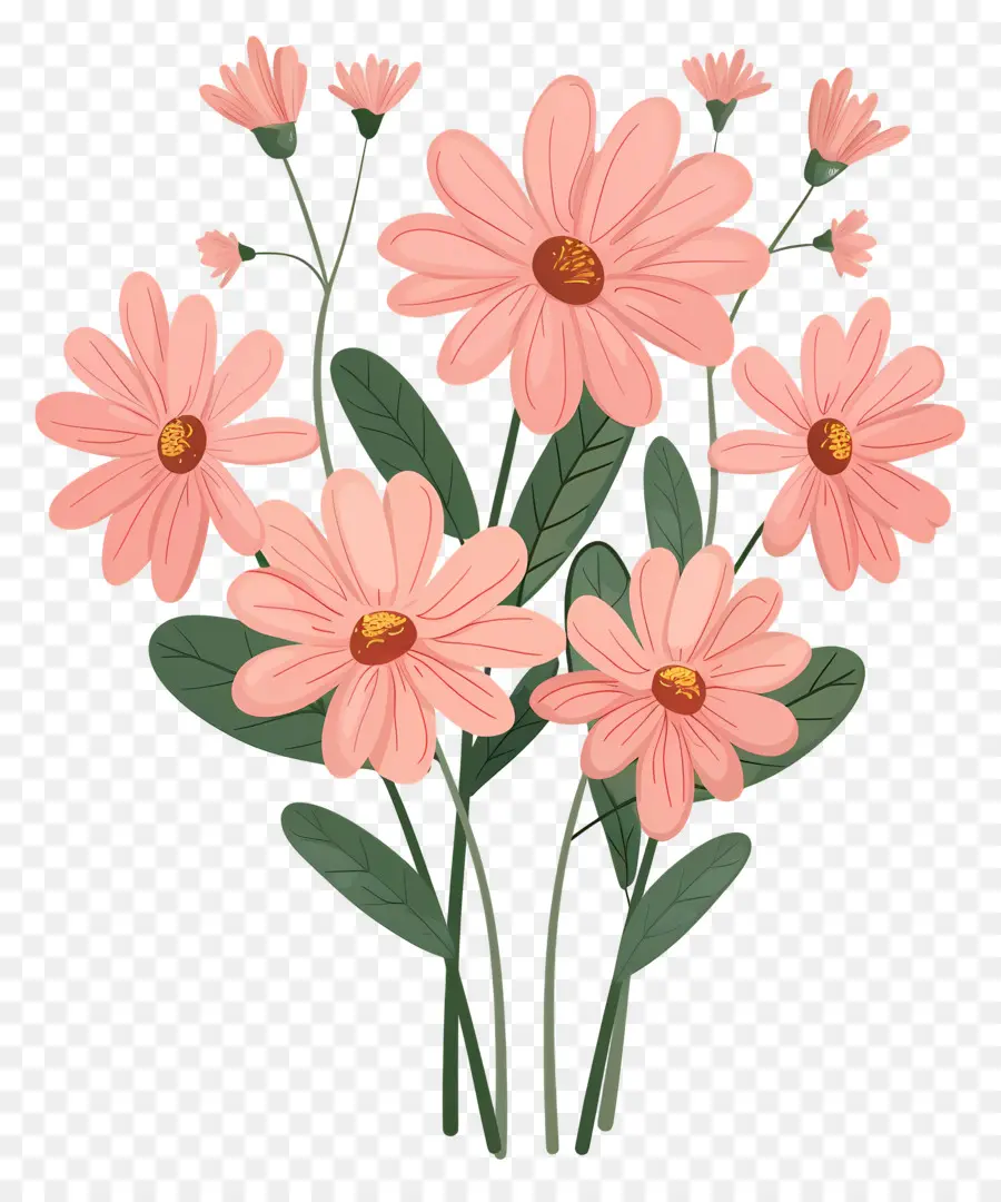 Fleurs De Marguerite，Fleurs Roses PNG