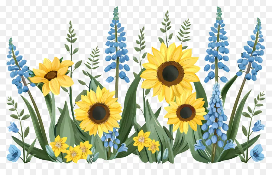 Bordure De Tournesols，Tournesols Et Fleurs Bleues PNG