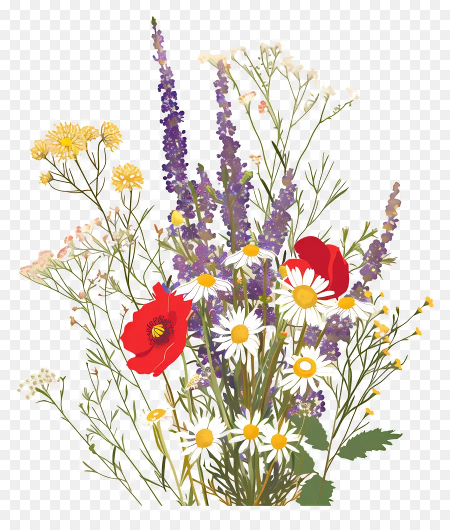 Fleur Sauvage，Arrangement De Fleurs Sauvages PNG