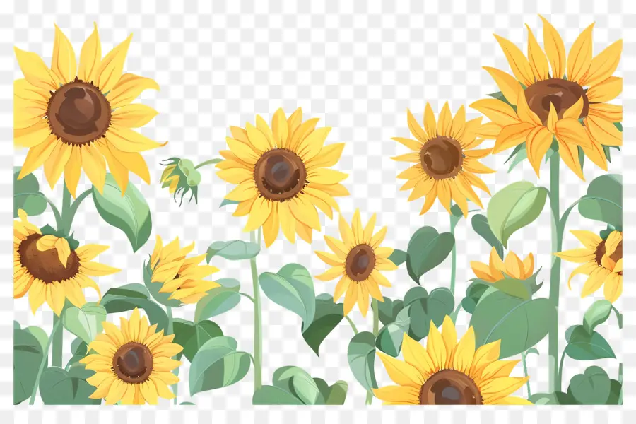 Bordure De Tournesols，Tournesols Et Fleurs Sauvages PNG