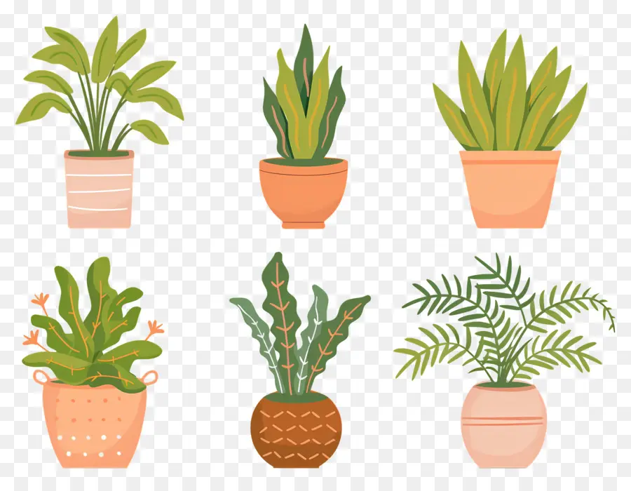 Fleurs En Pots，Plantes En Pot à Motifs PNG