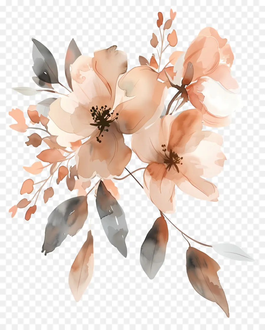 Fleurs Aquarelles，Fleurs Beiges PNG