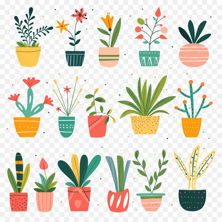 Fleurs En Pots，Plantes En Pot Colorées PNG