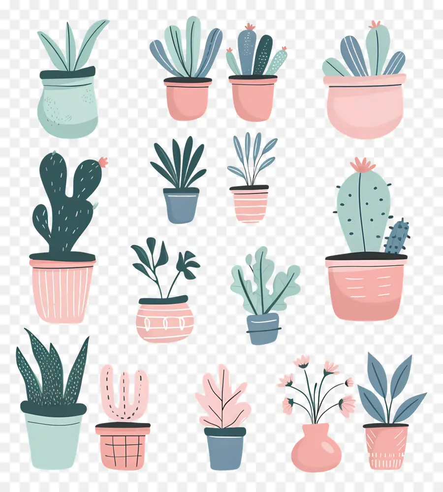 Fleurs En Pots，Plantes En Pot Colorées PNG