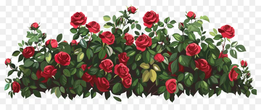 Rosier，Roses Rouges PNG