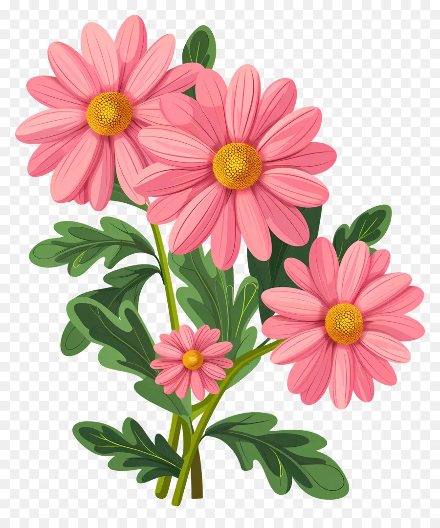 Fleurs De Marguerite，Fleurs Roses PNG