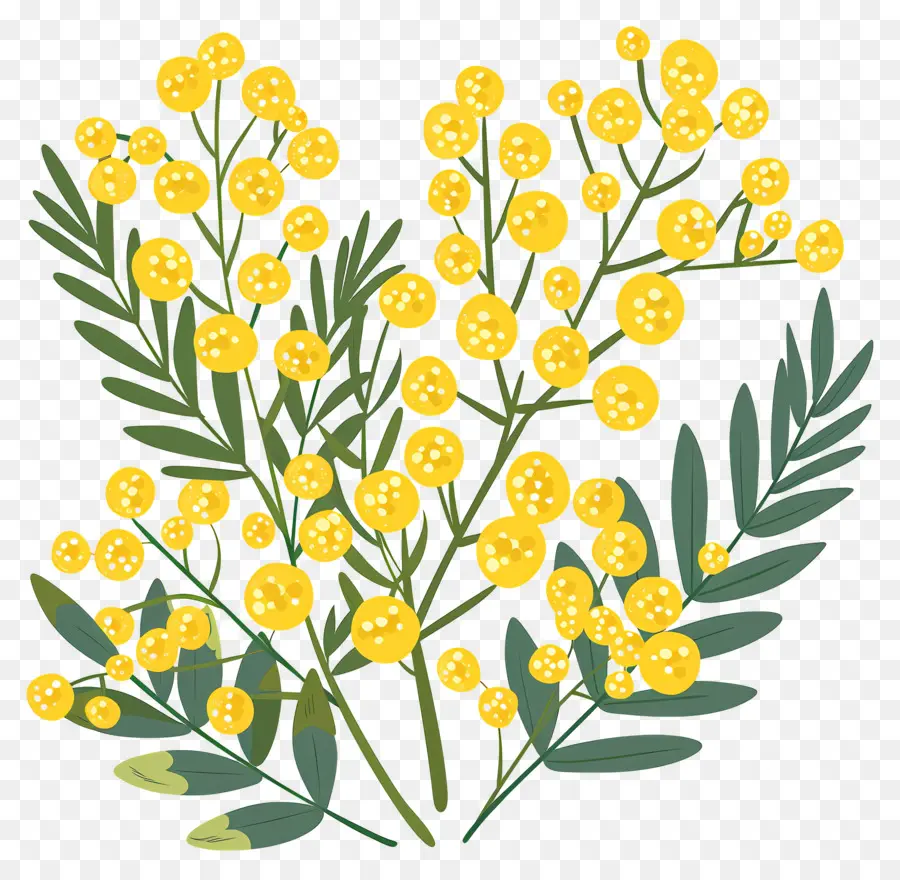 Petite Fleur，Fleurs Jaunes PNG