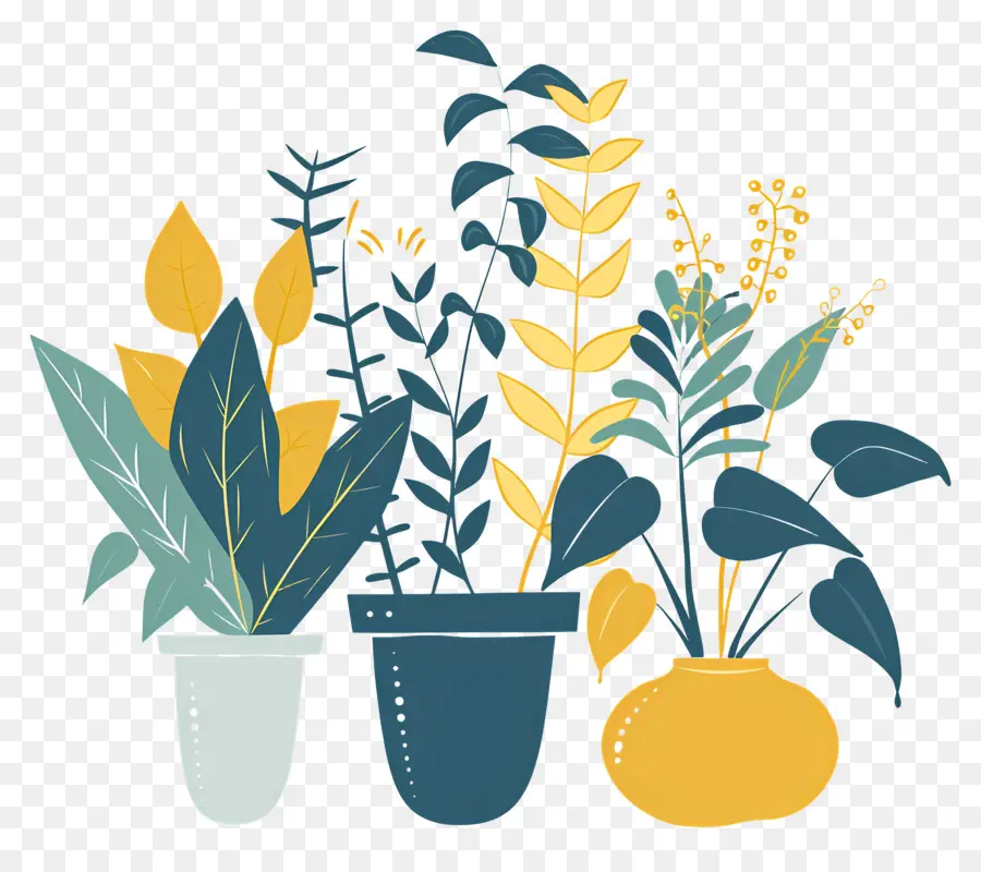 Fleurs En Pots，Plantes En Pot PNG