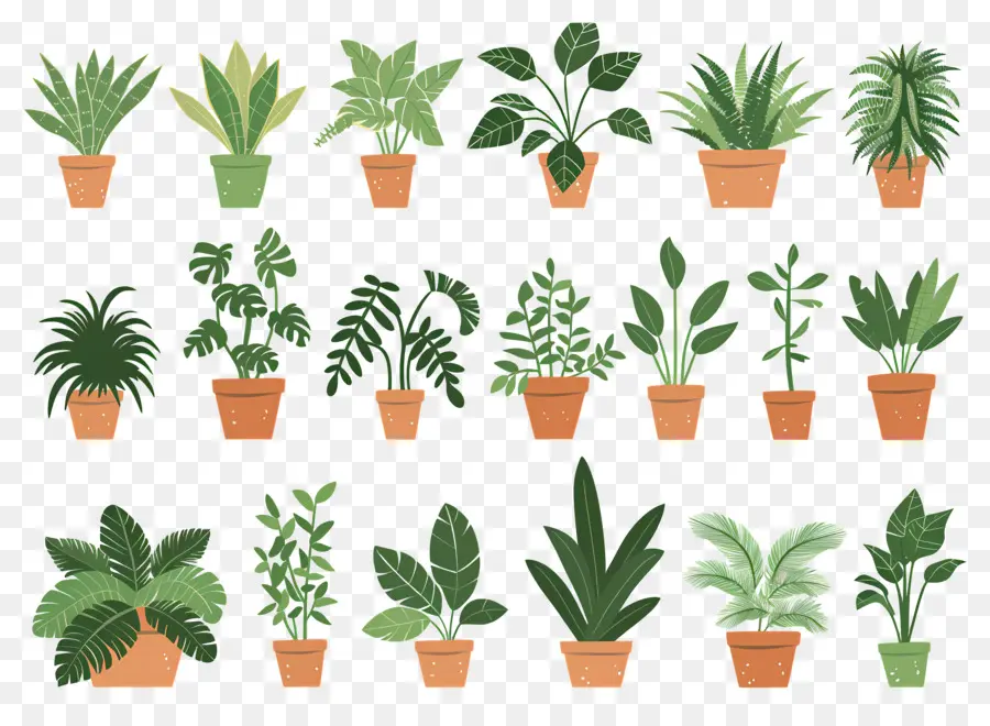 Fleurs En Pots，Plusieurs Plantes En Pot PNG