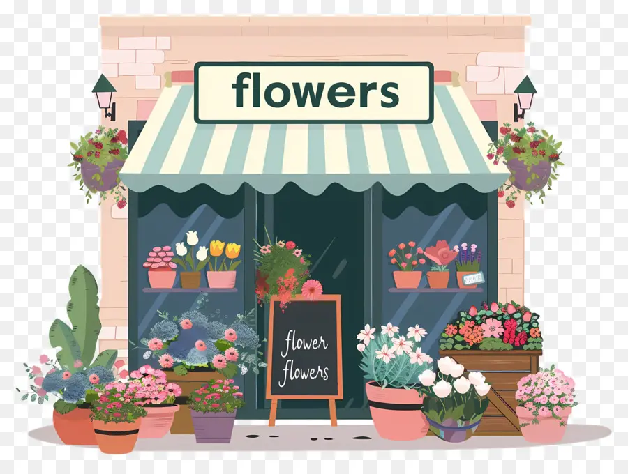 Fleuriste，Plantes PNG