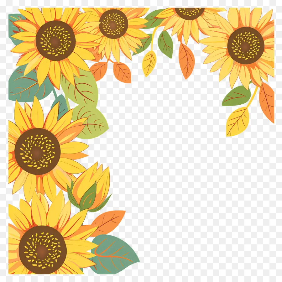 Cadre De Tournesols，Tournesols Et Marguerites PNG