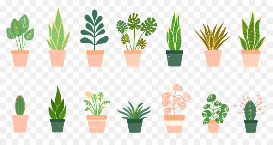 Fleurs En Pots，Plantes En Pot à Motifs PNG