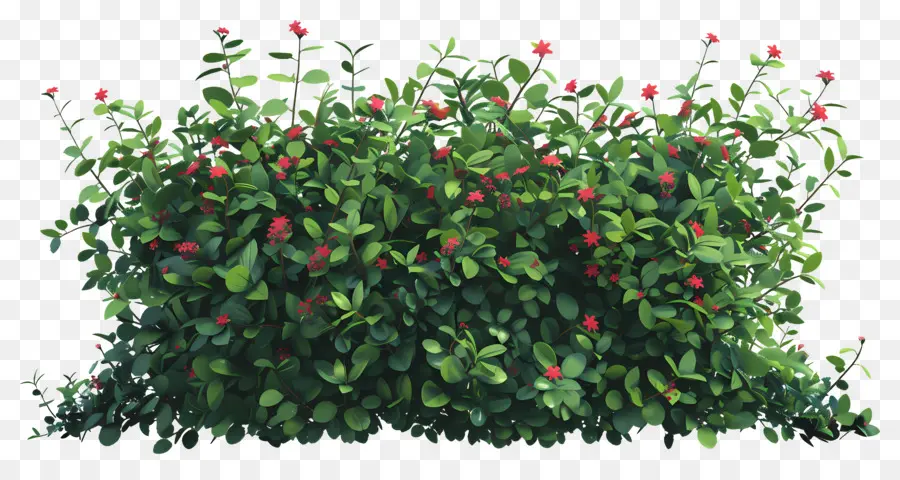 Buisson De Fleurs，Buisson Vert à Fleurs Rouges PNG