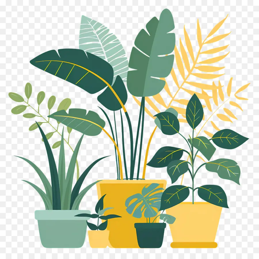 Fleurs En Pots，Plantes Colorées PNG