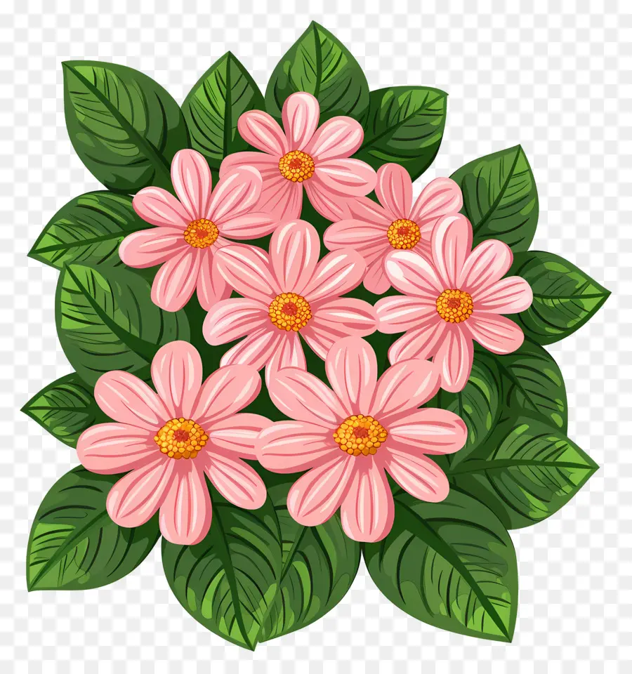 Fleurs De Marguerite，Marguerites Roses PNG