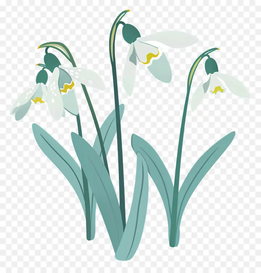 Perce Neige，Perce Neige Pastel PNG