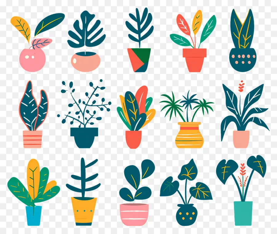 Fleurs En Pots，Plantes En Pot à Motifs PNG