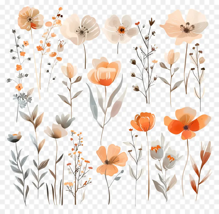 Fleurs Séchées，Fleurs Oranges PNG