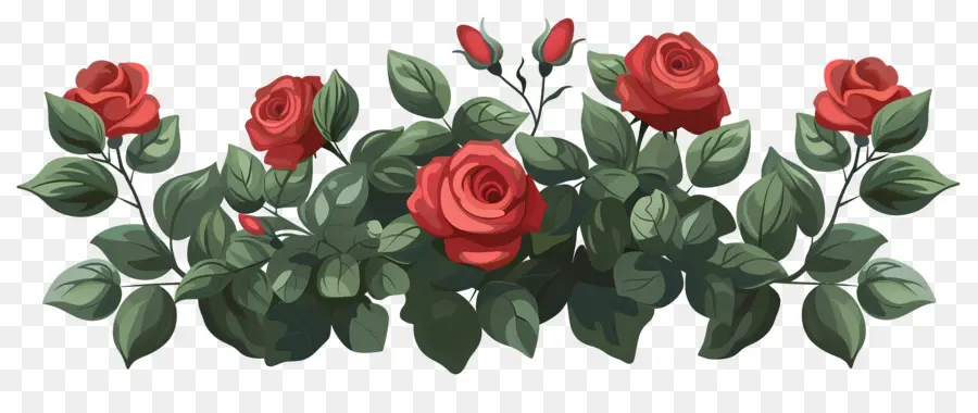 Rosier，Roses PNG