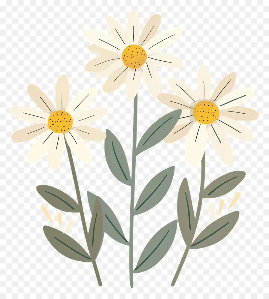 Fleurs De Marguerite，Marguerites Artistiques PNG