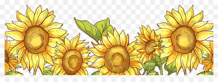 Bordure De Tournesols，Tournesols D'affilée PNG