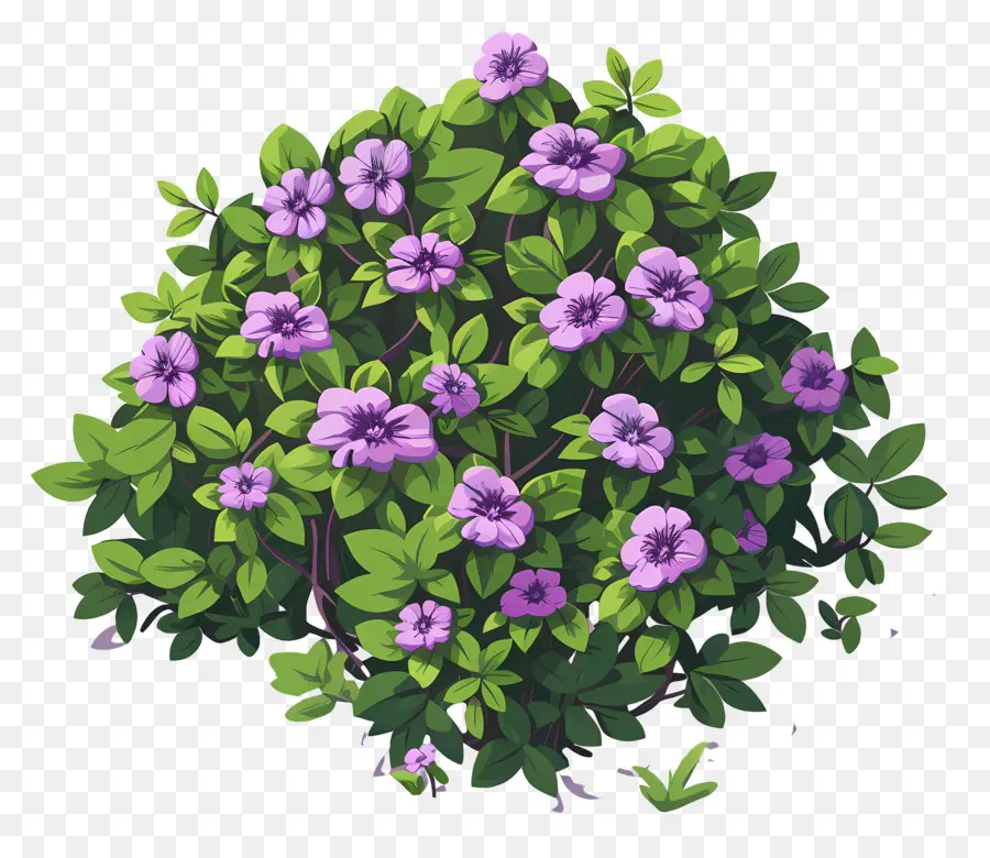 Buisson De Fleurs，Buisson Vert à Fleurs Violettes PNG