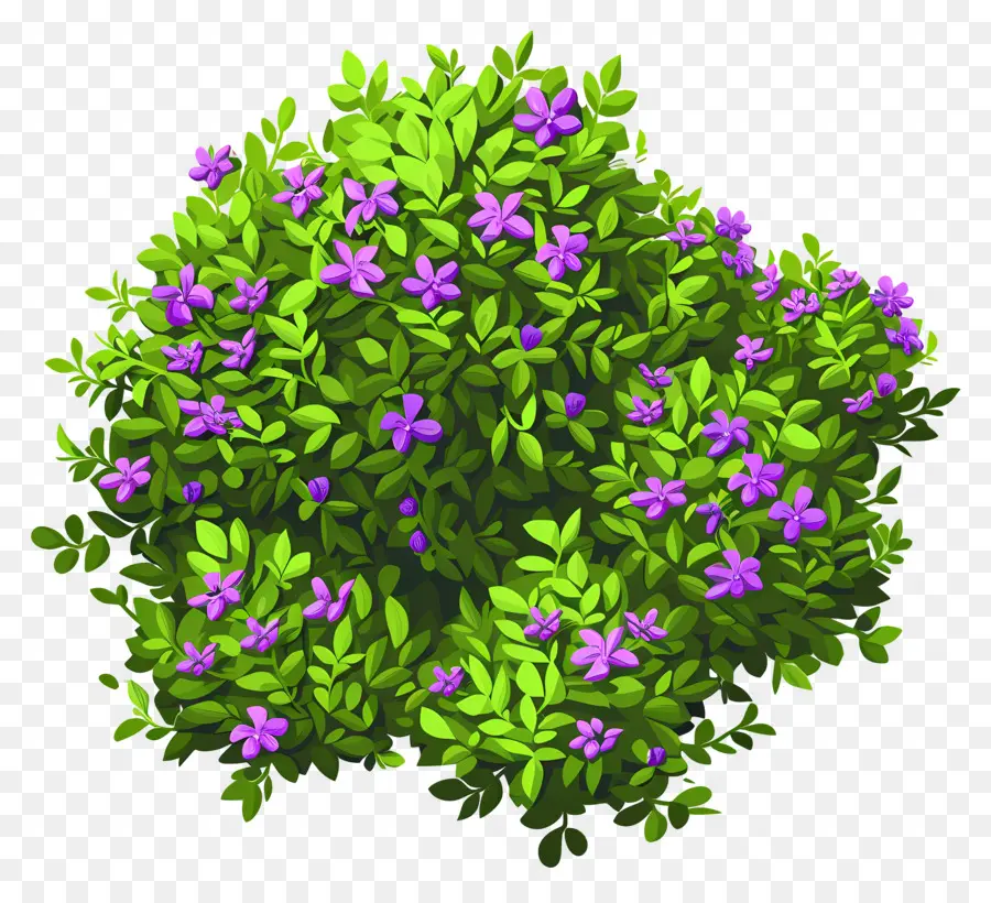 Buisson De Fleurs，Buisson Vert à Fleurs Violettes PNG