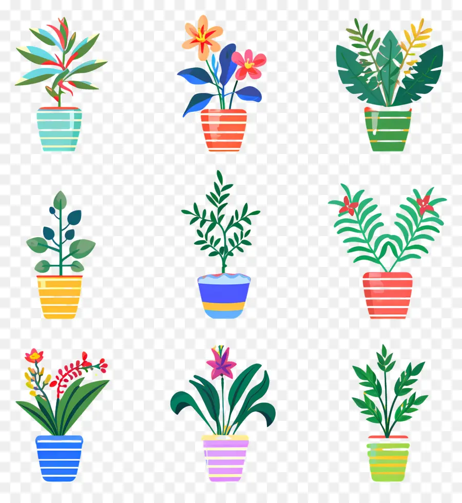 Fleurs En Pots，Plantes En Pot Colorées PNG