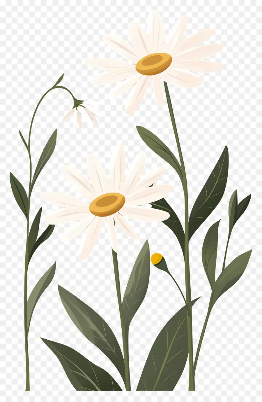 Fleurs De Marguerite，Fleur Jaune PNG