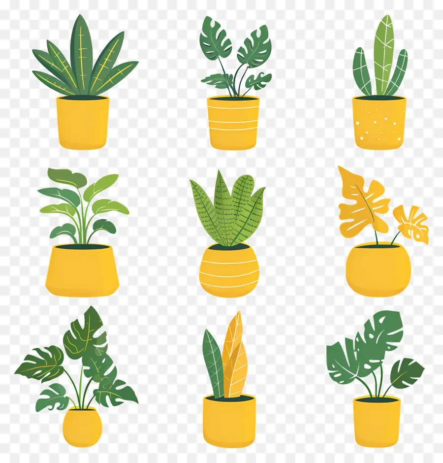 Fleurs En Pots，Plantes En Pot Jaunes PNG