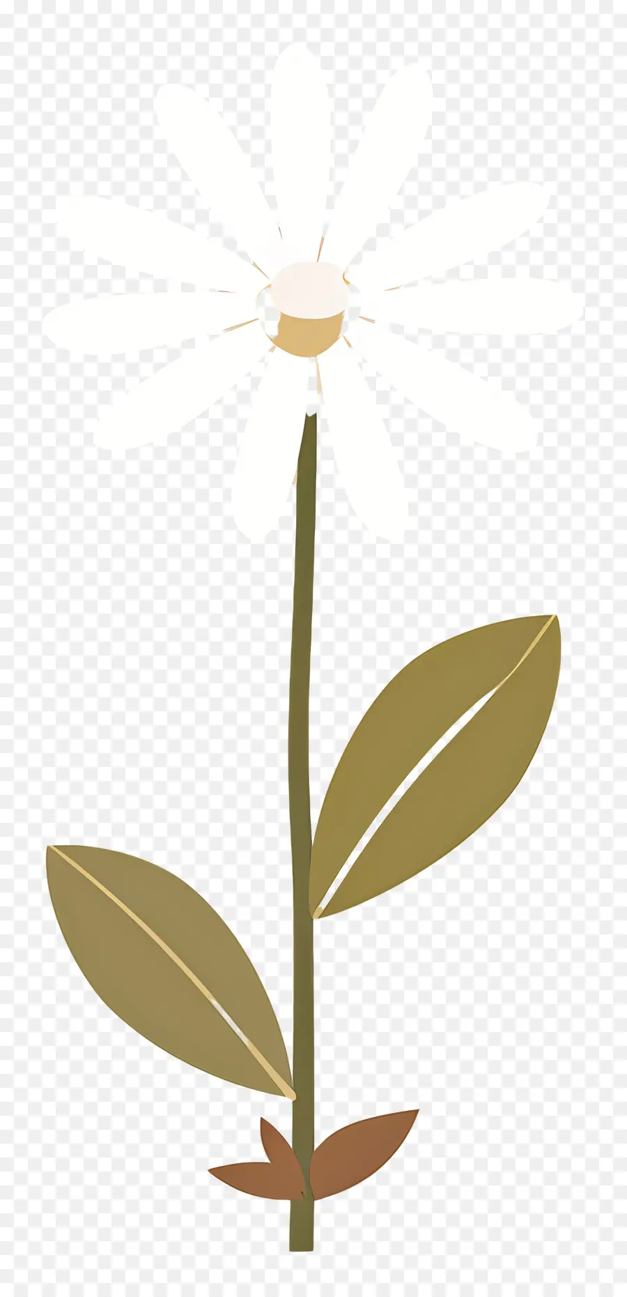 Fleur De Marguerite，Marguerite Minimale PNG