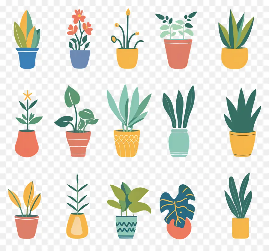 Fleurs En Pots，Plantes En Pot PNG