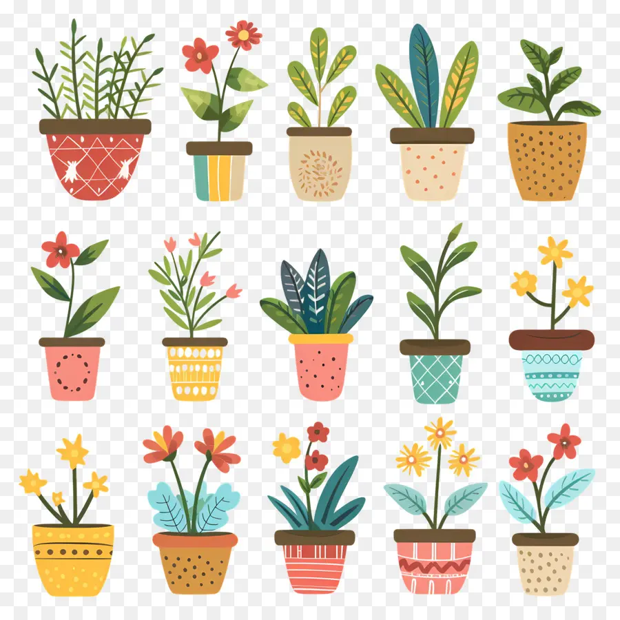 Fleurs En Pots，Plantes En Pot Colorées PNG