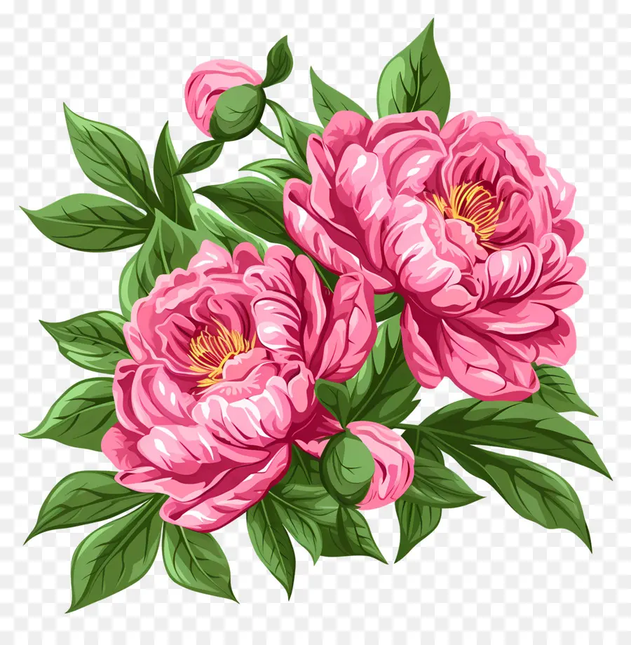 Fleurs De Pivoine，Fleurir PNG