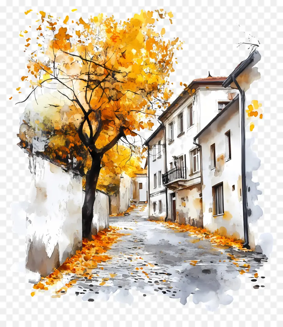 Rue D'automne，Feuilles PNG