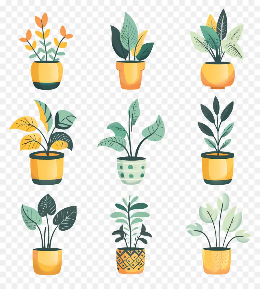 Fleurs En Pots，Plantes En Pot Jaunes PNG