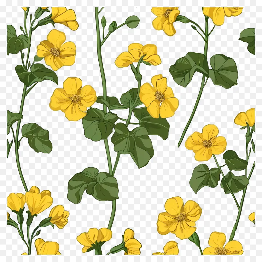 Fleurs De Colza，Fleurs Jaunes PNG