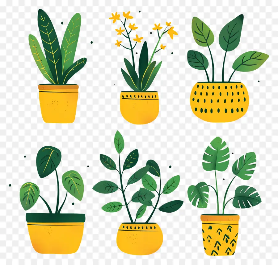 Fleurs En Pots，Plantes En Pot Jaunes PNG