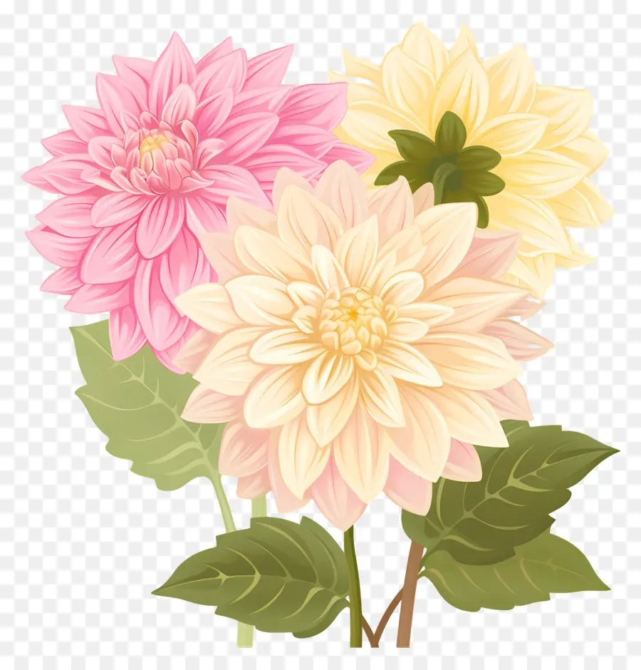 Fleur De Dahlia，Fleurs Roses Et Jaunes PNG