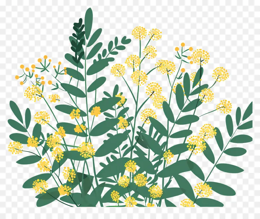 Petite Fleur，Fleurs Jaunes PNG