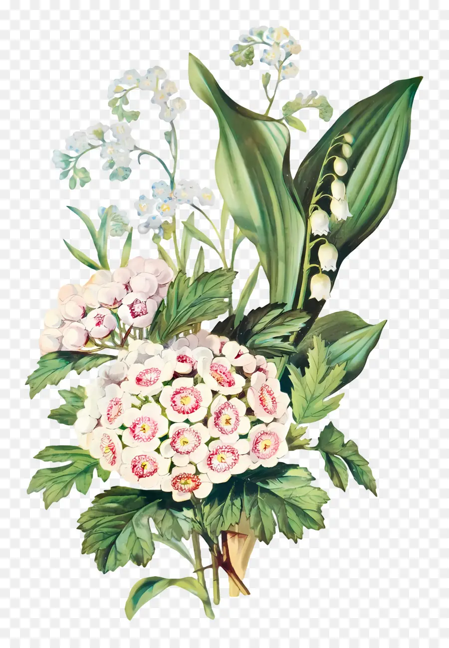 Fleurs Anciennes，Muguet PNG