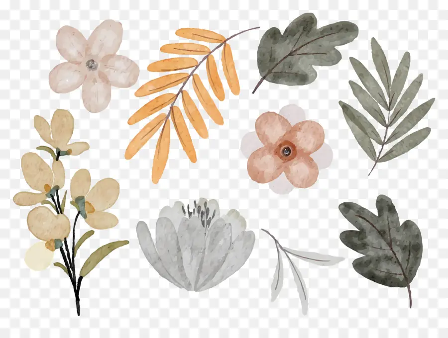 Fleurs Séchées，Fleurs Aquarelles PNG